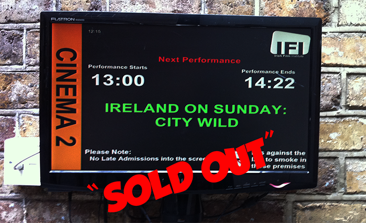 Sold Out Screen at the IFI Dublin.